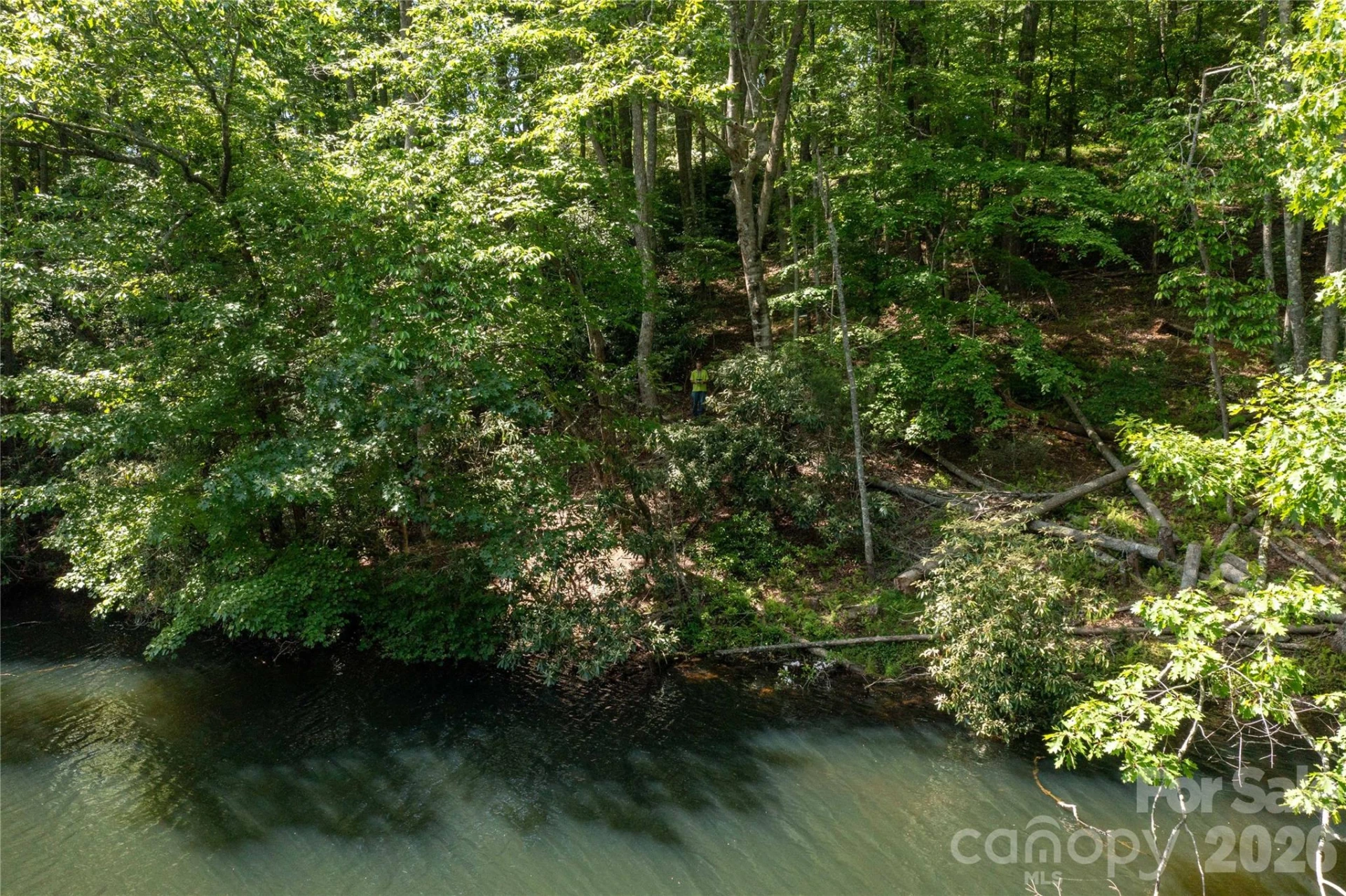 00 Deer Park Lake Road - Photo 4
