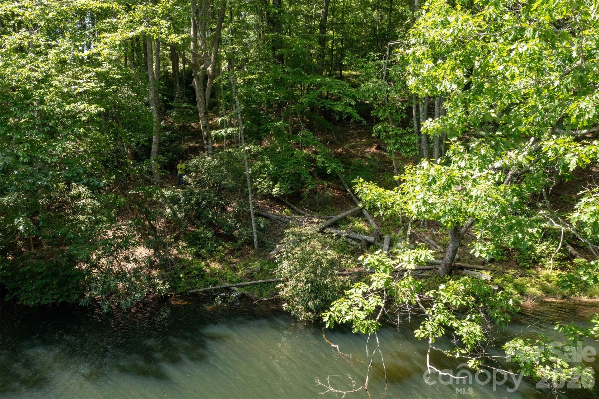 00 Deer Park Lake Road - Photo 29