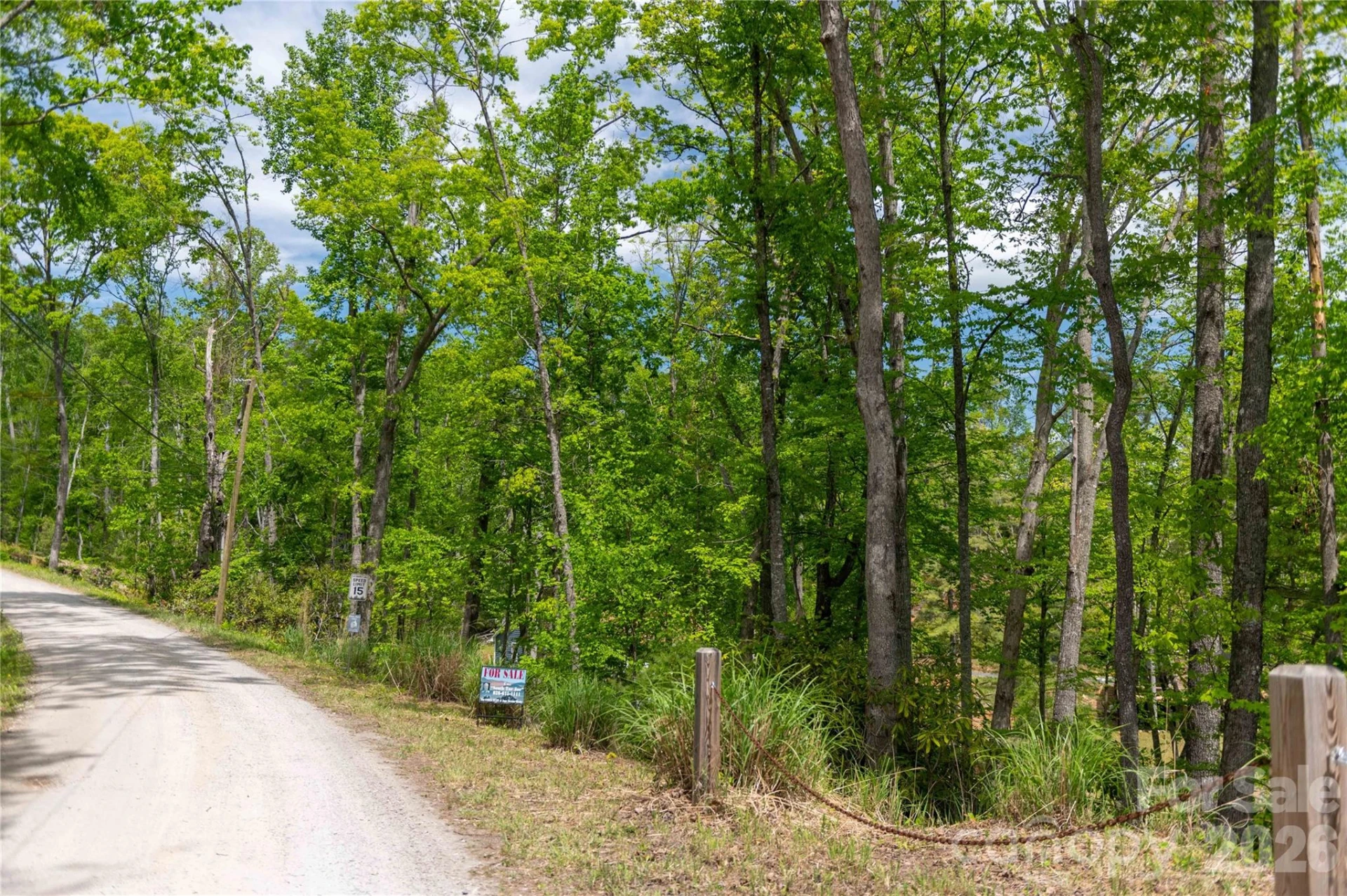 00 Deer Park Lake Road - Photo 30