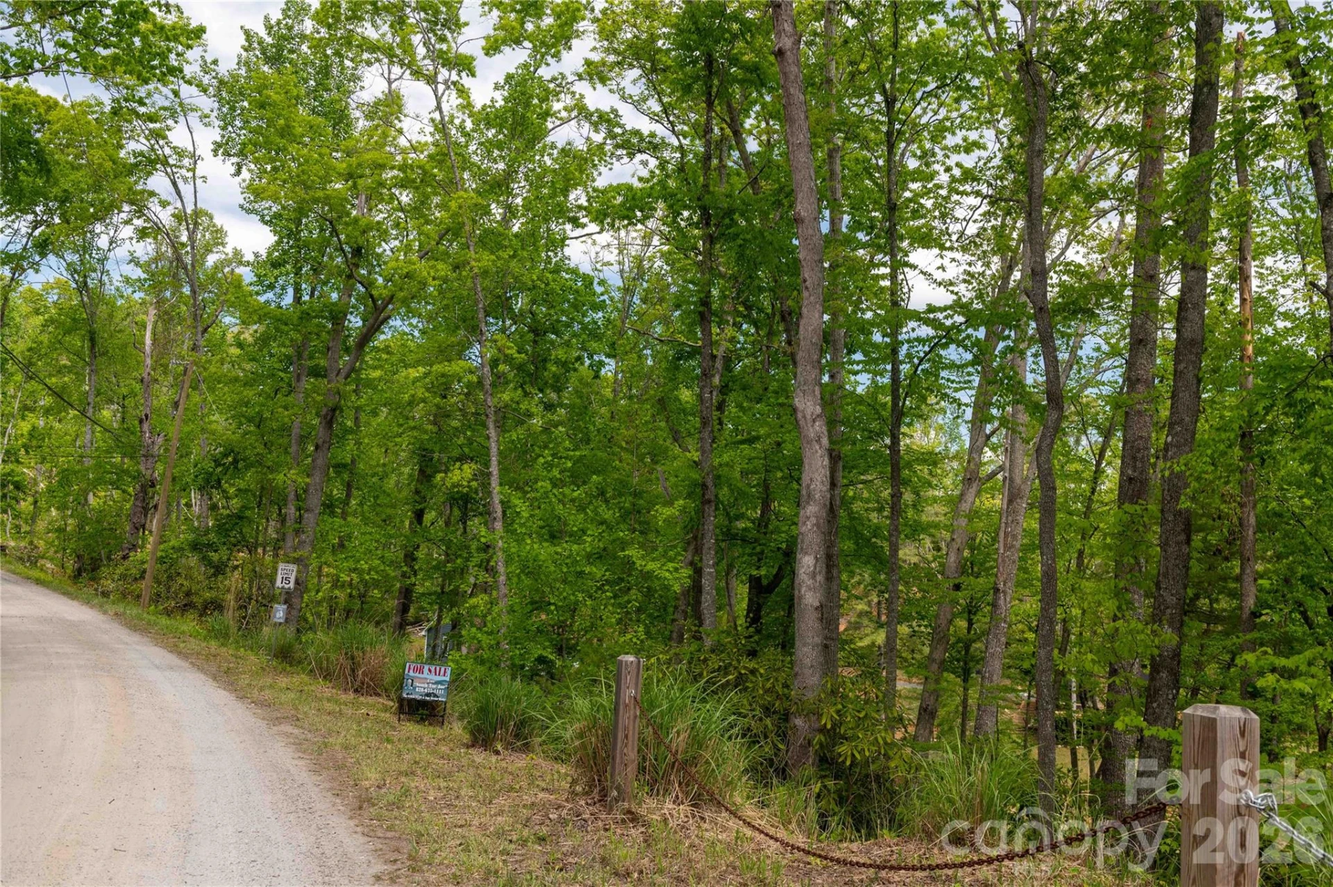 00 Deer Park Lake Road - Photo 31