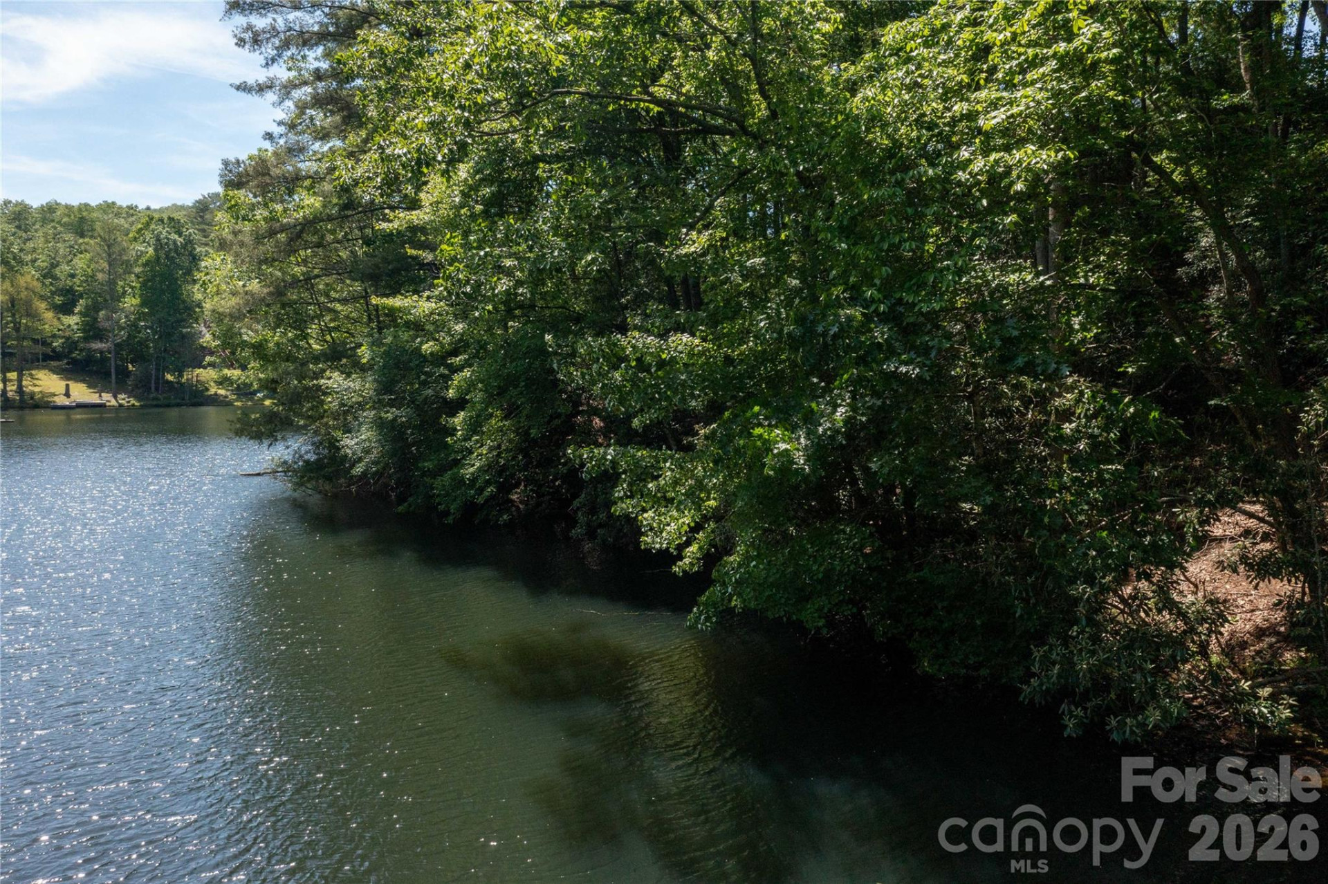 00 Deer Park Lake Road - Photo 5