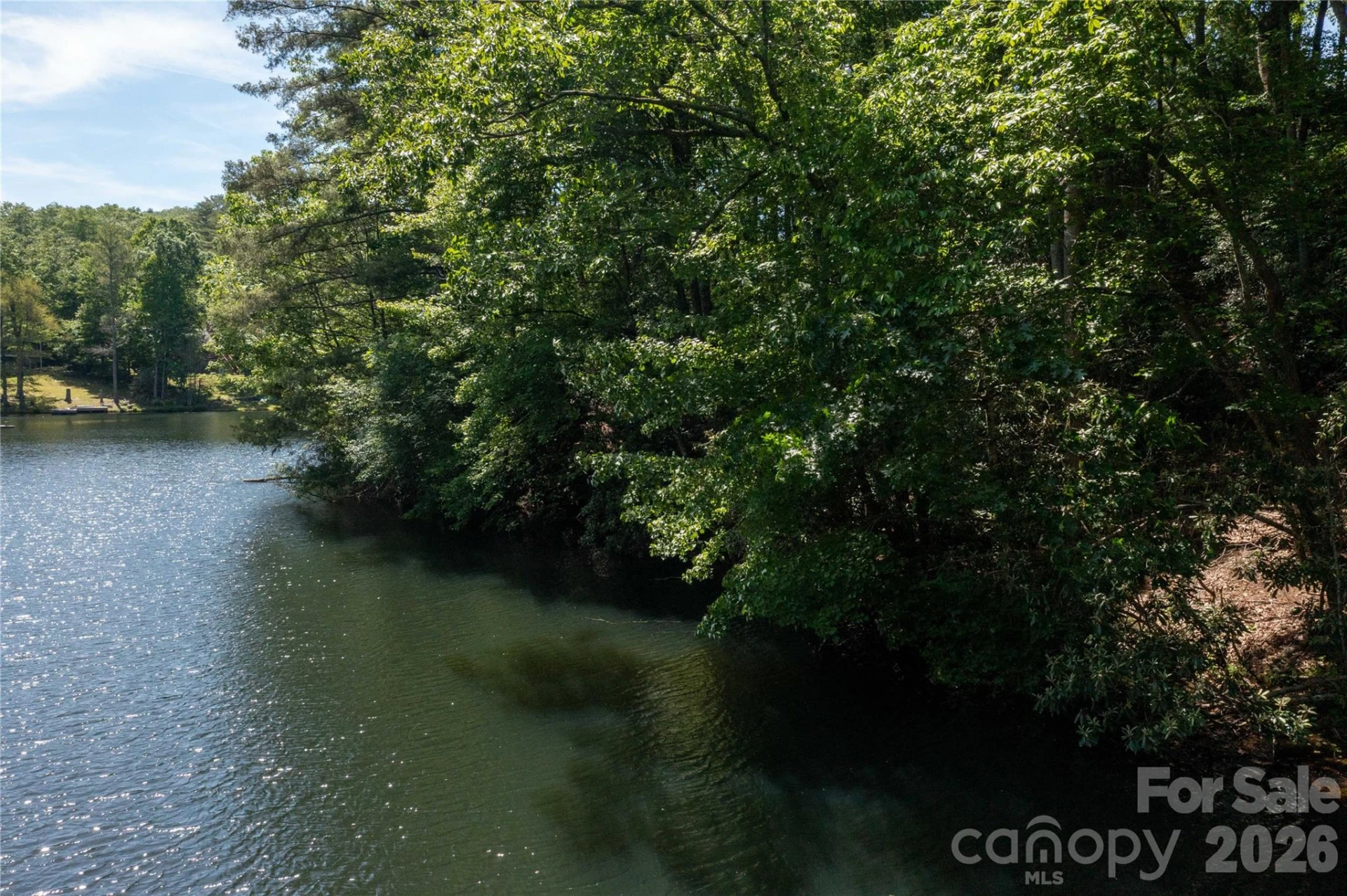 00 Deer Park Lake Road - Photo 6