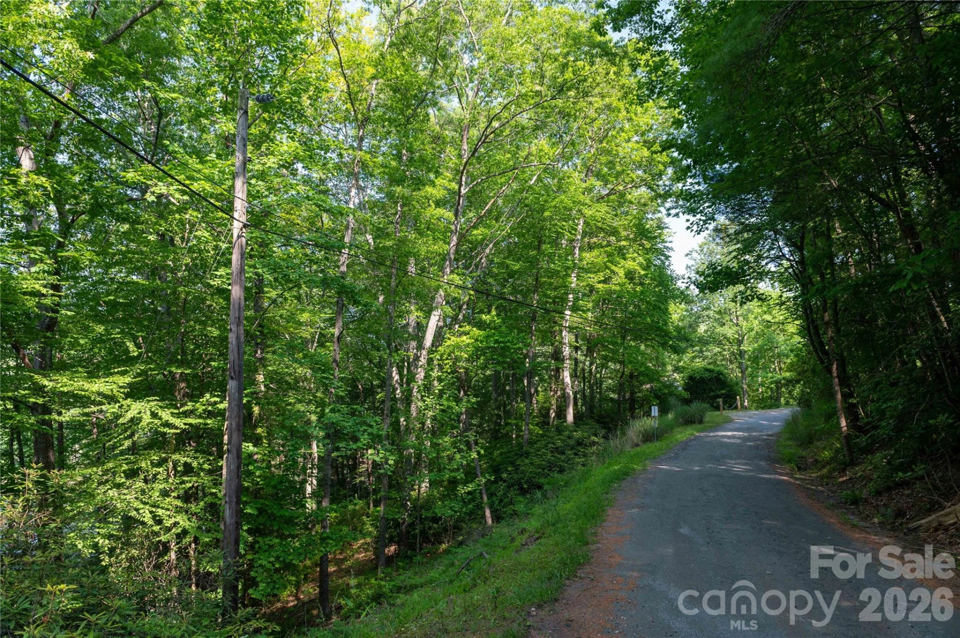 00 Deer Park Lake Road - Photo 7