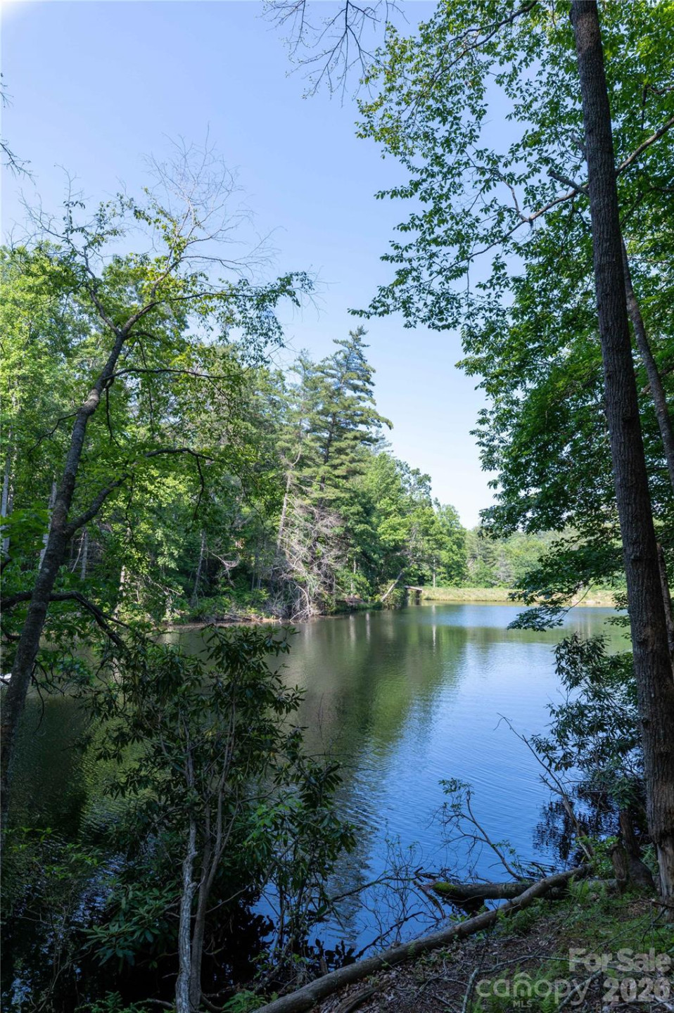 00 Deer Park Lake Road - Photo 7