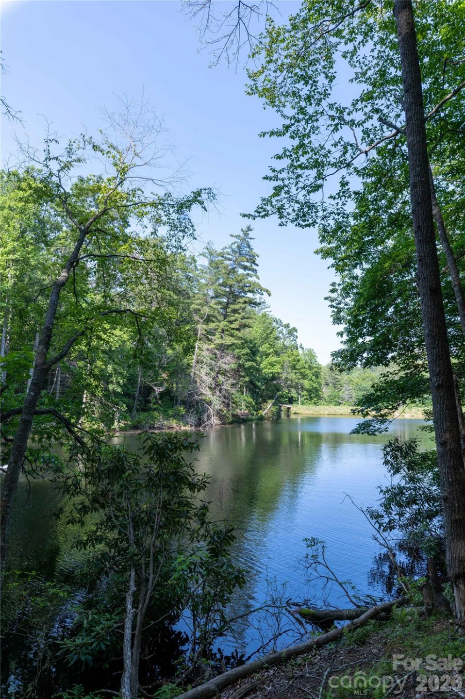00 Deer Park Lake Road - Photo 8