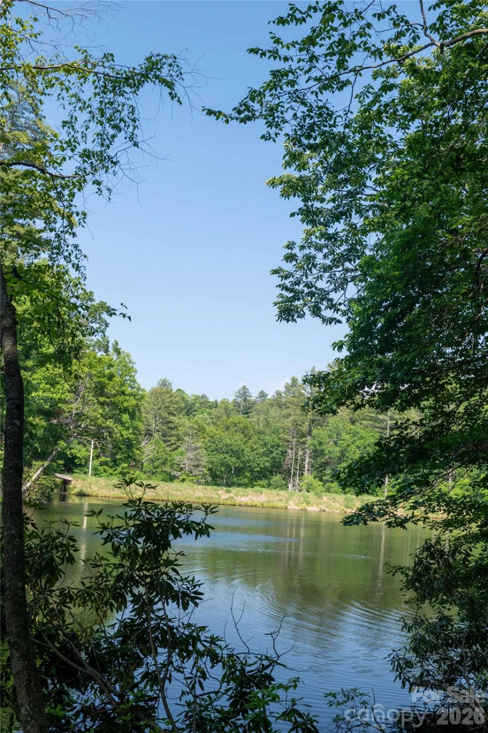 00 Deer Park Lake Road - Photo 9