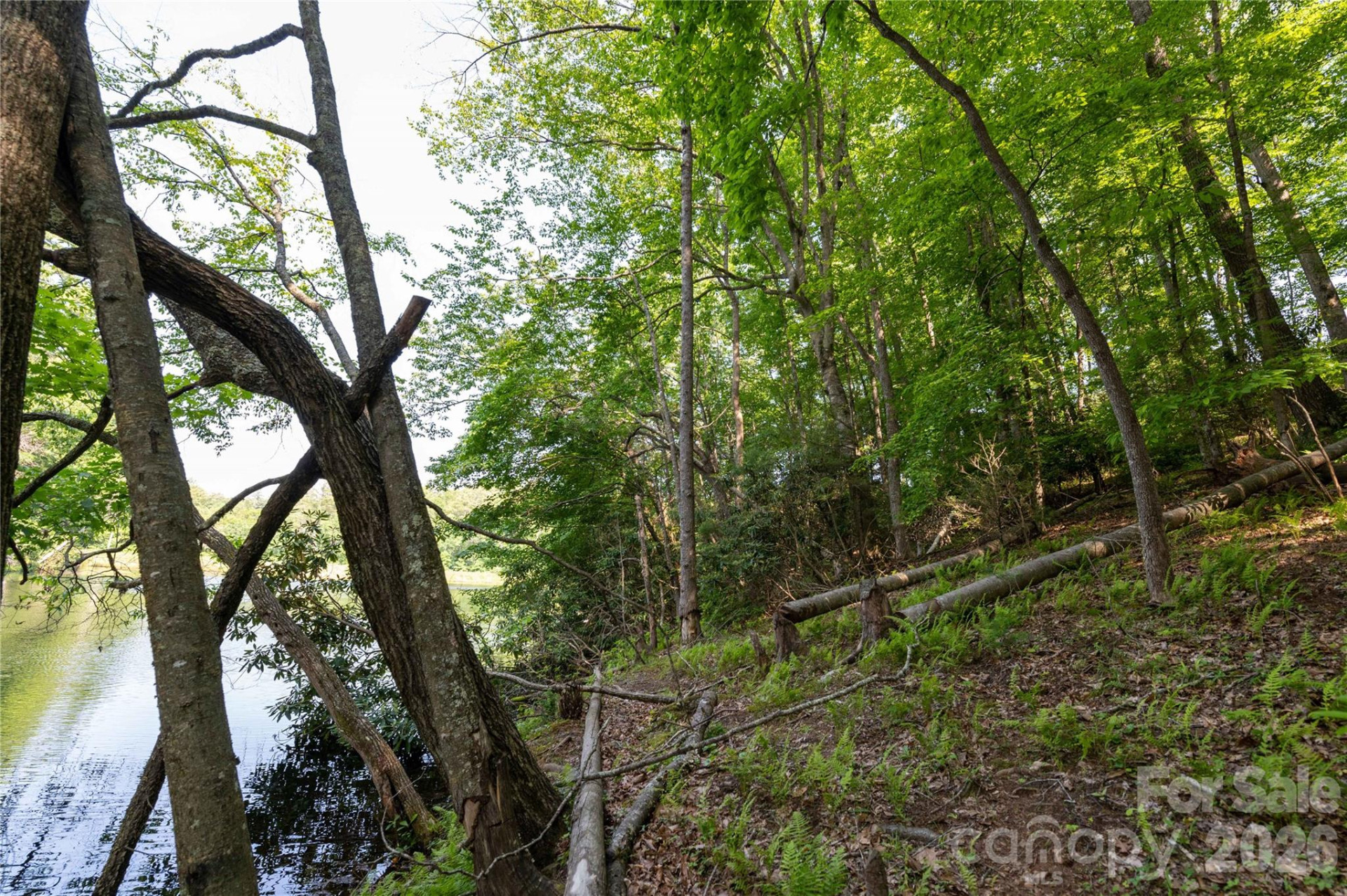 00 Deer Park Lake Road - Photo 9