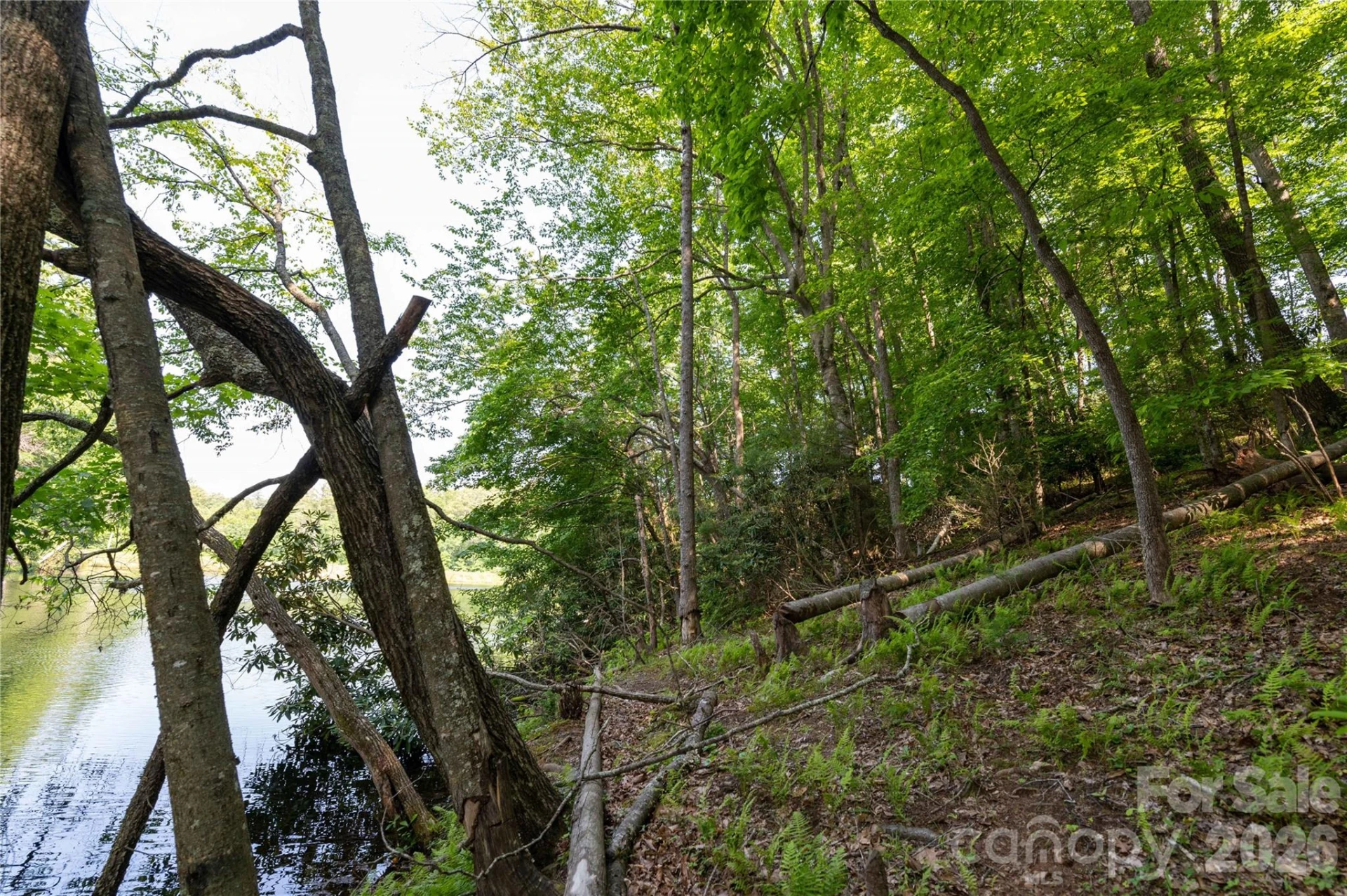 00 Deer Park Lake Road - Photo 10