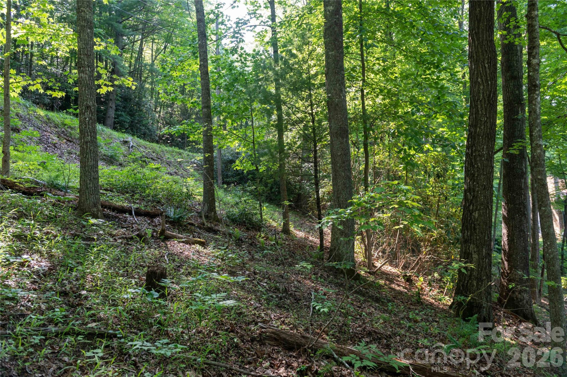 00 Deer Park Lake Road - Photo 10