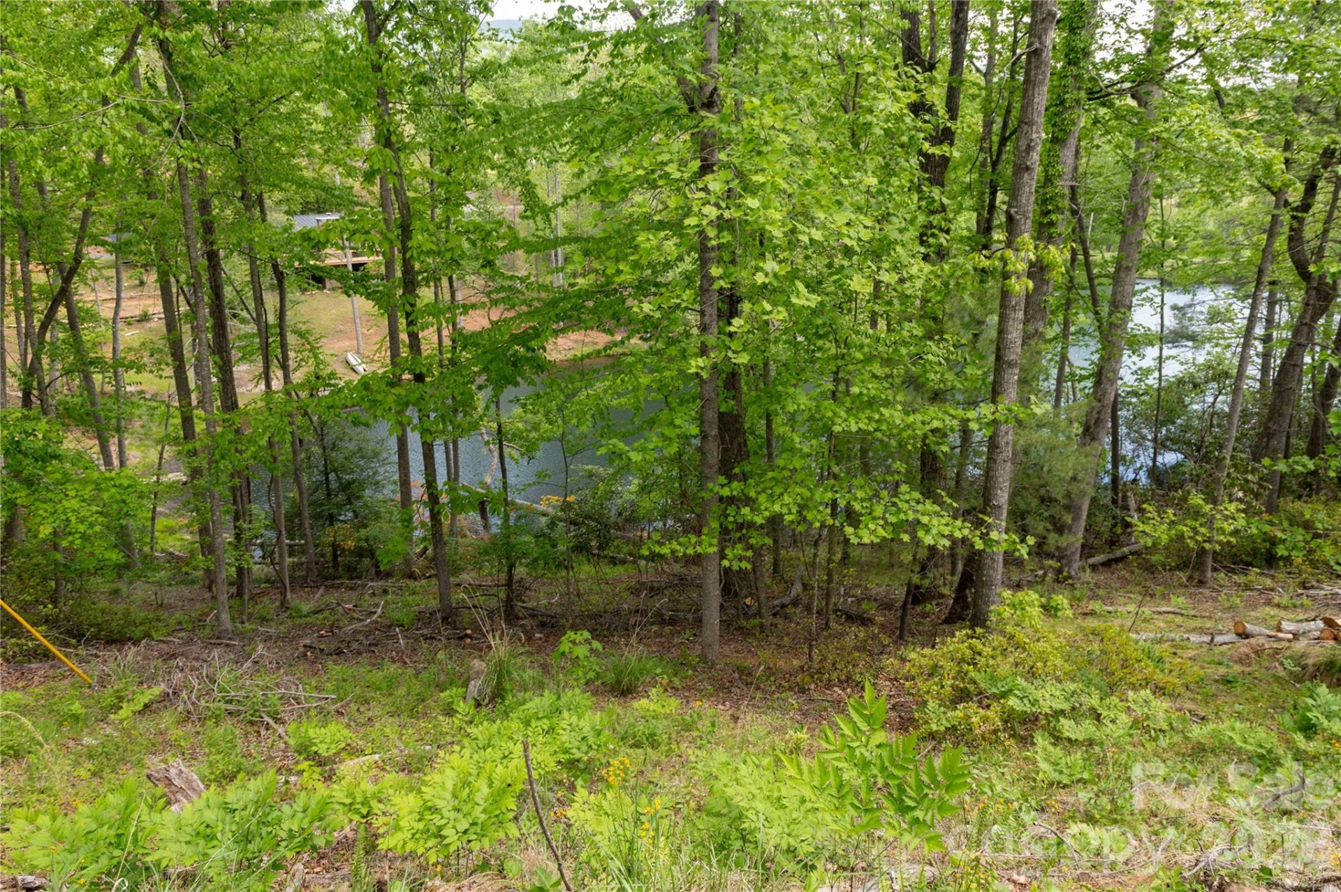 00 Deer Park Lake Road - Photo 11