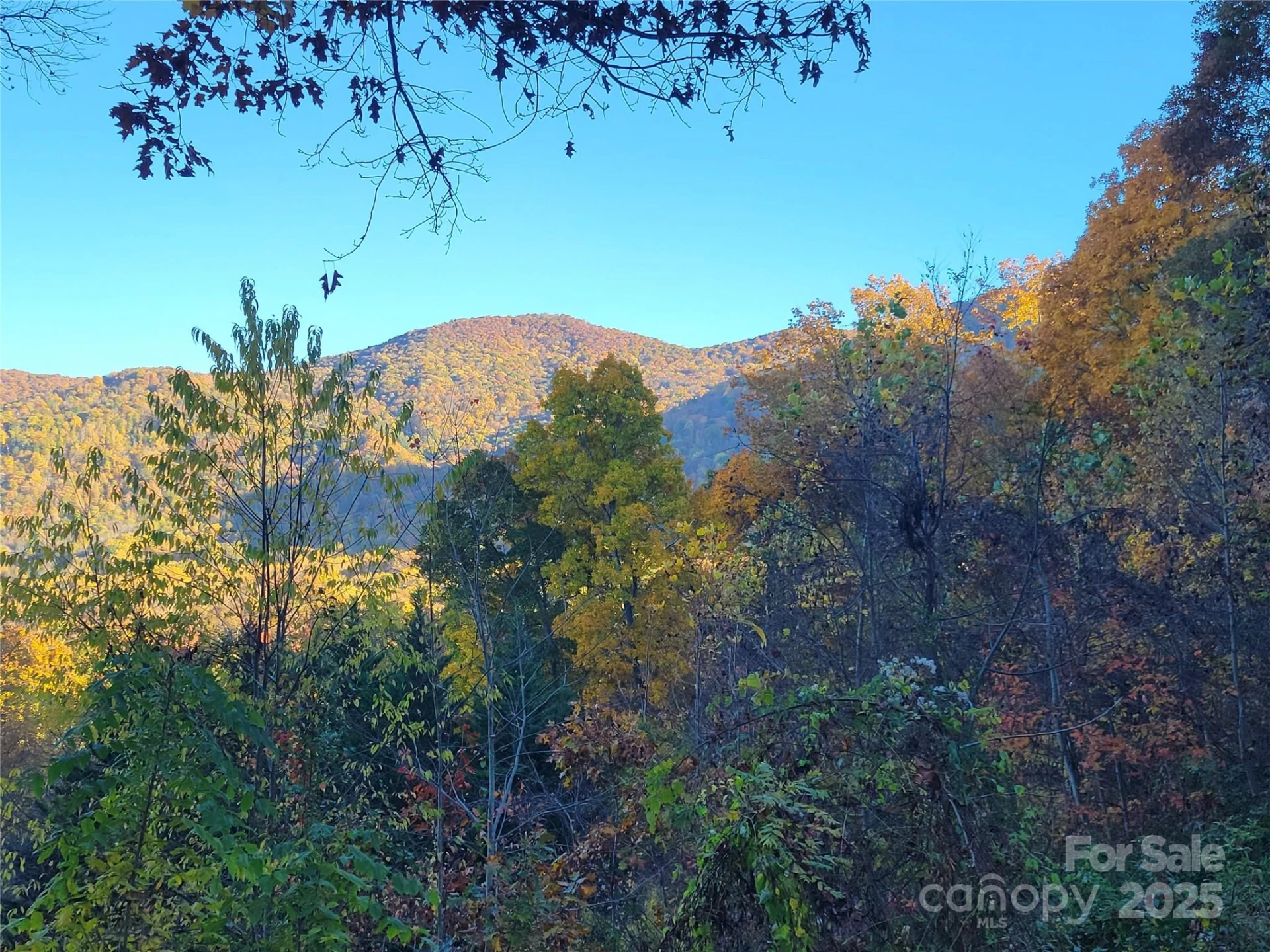 144 Ruffed Grouse Lane - Photo 38