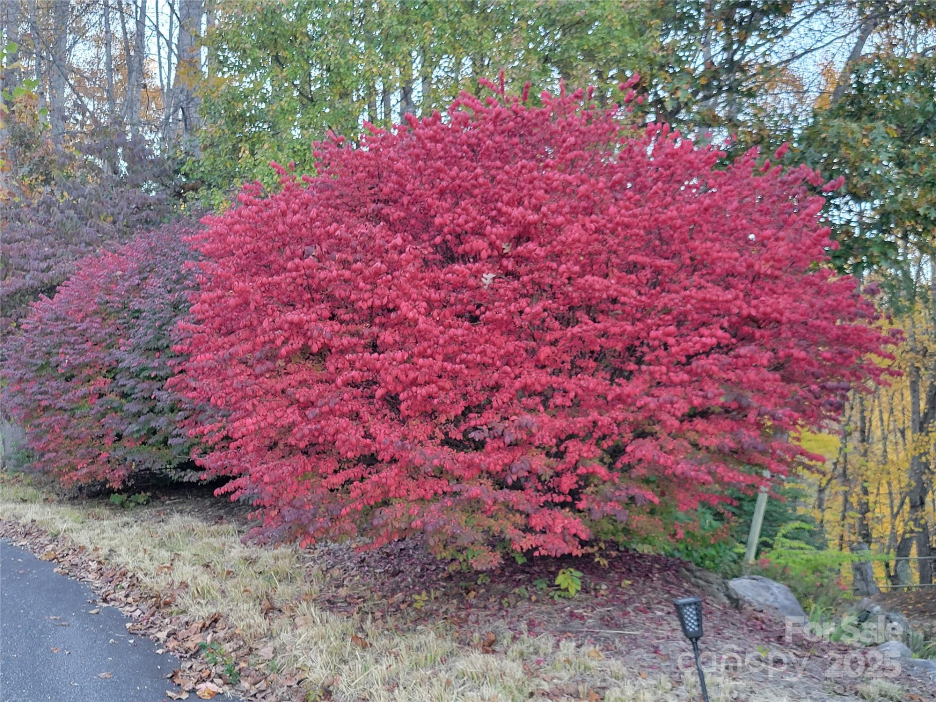 144 Ruffed Grouse Lane - Photo 39