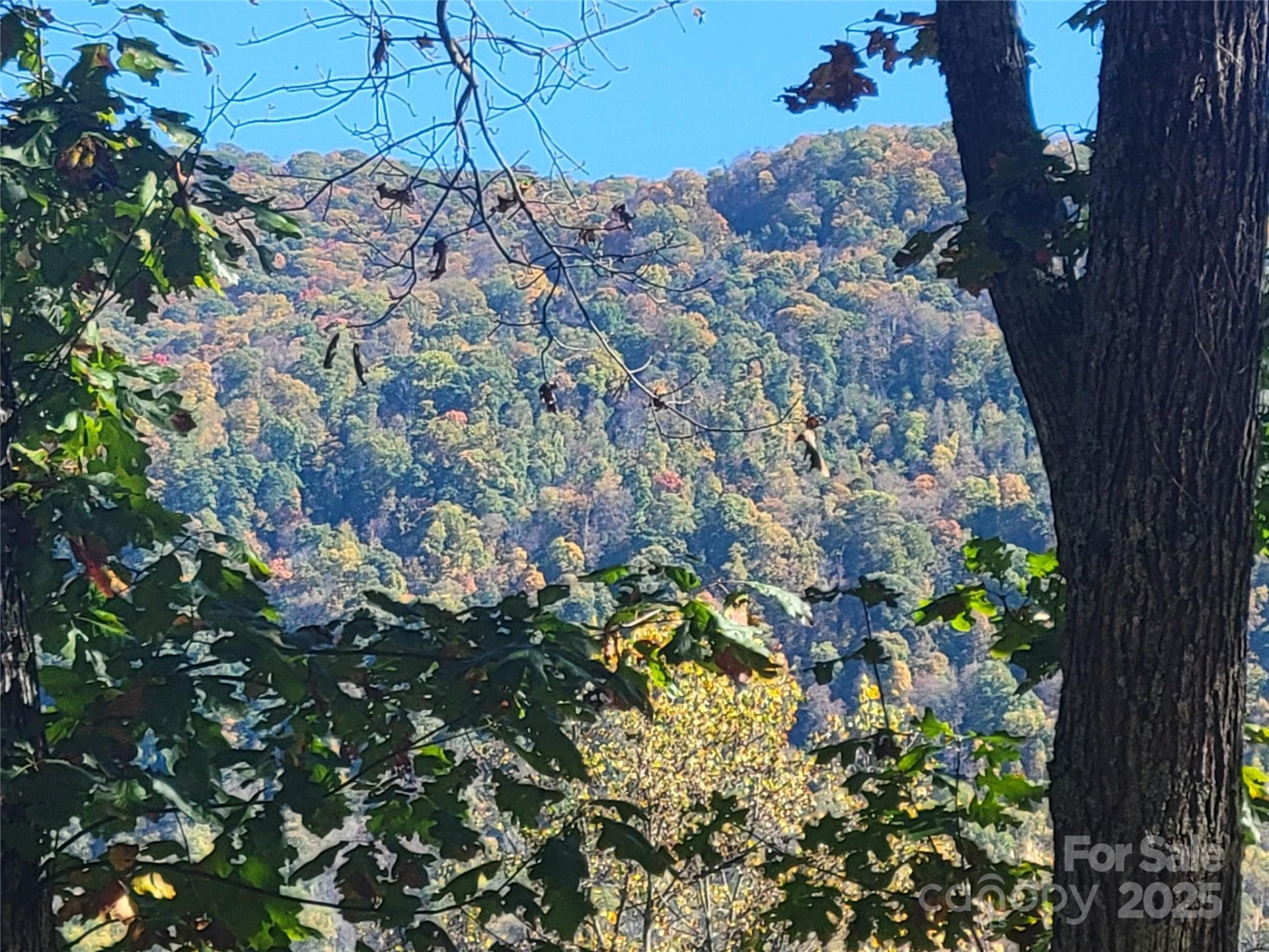 144 Ruffed Grouse Lane - Photo 41