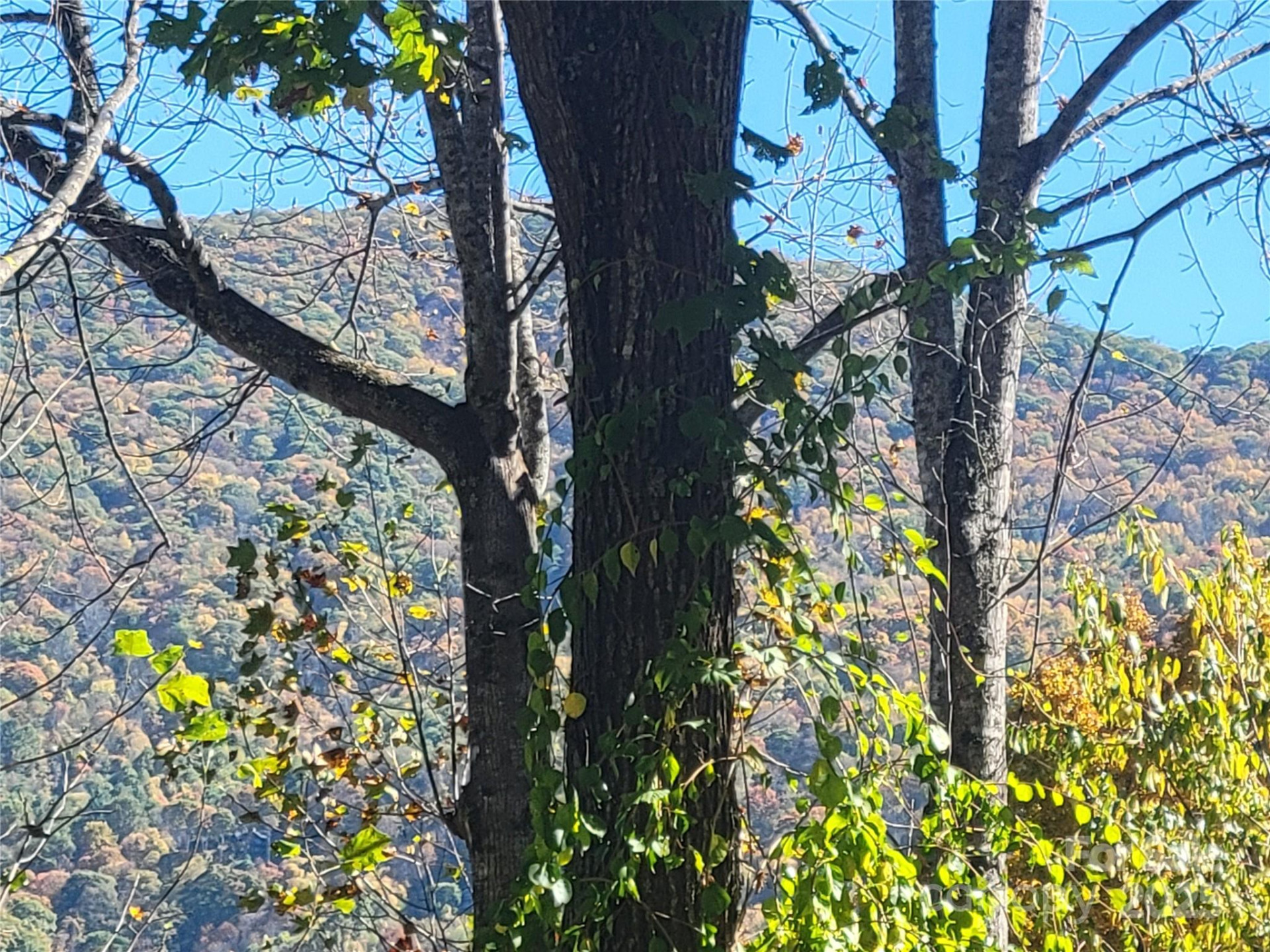 144 Ruffed Grouse Lane - Photo 42