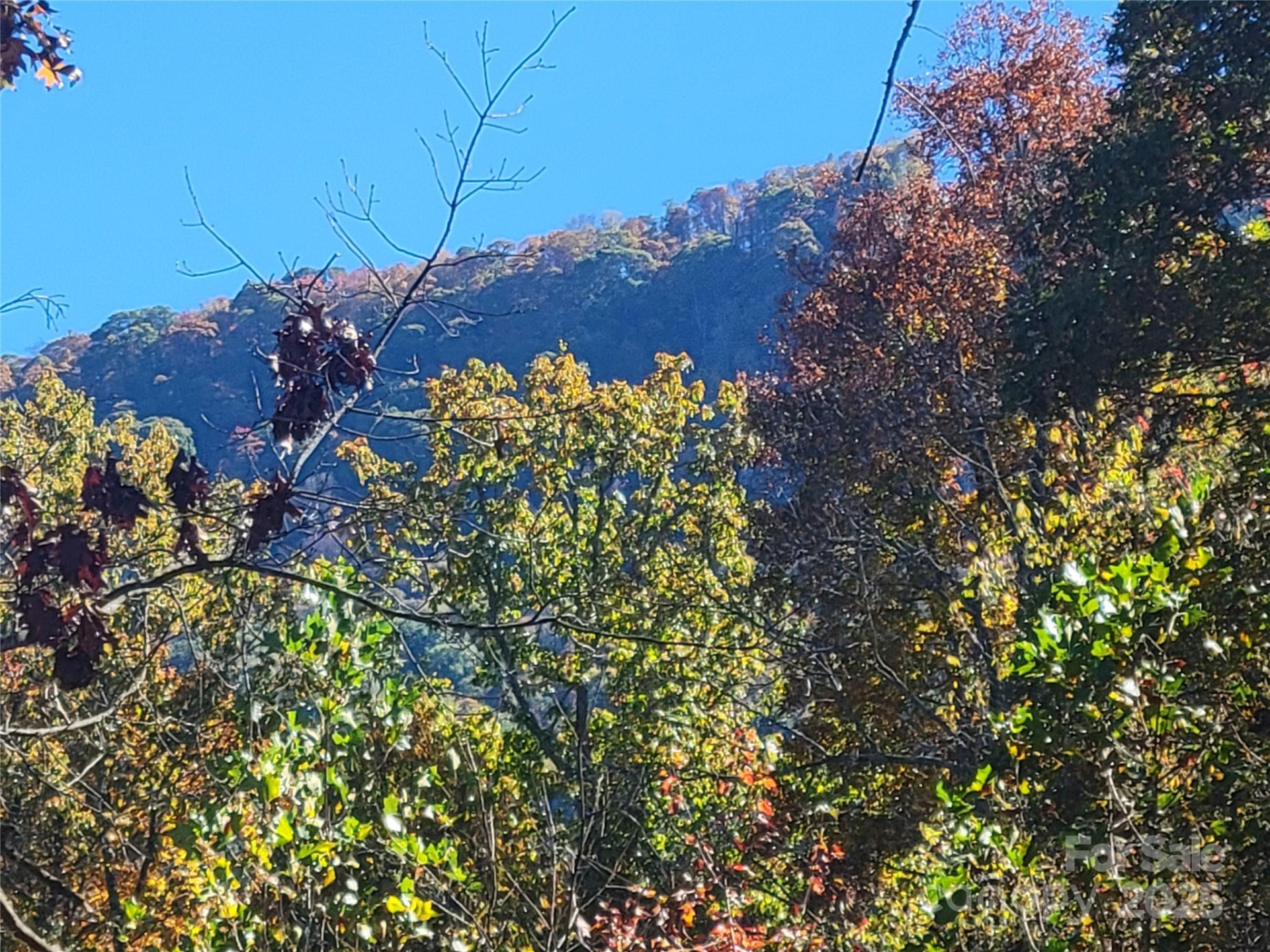 144 Ruffed Grouse Lane - Photo 43