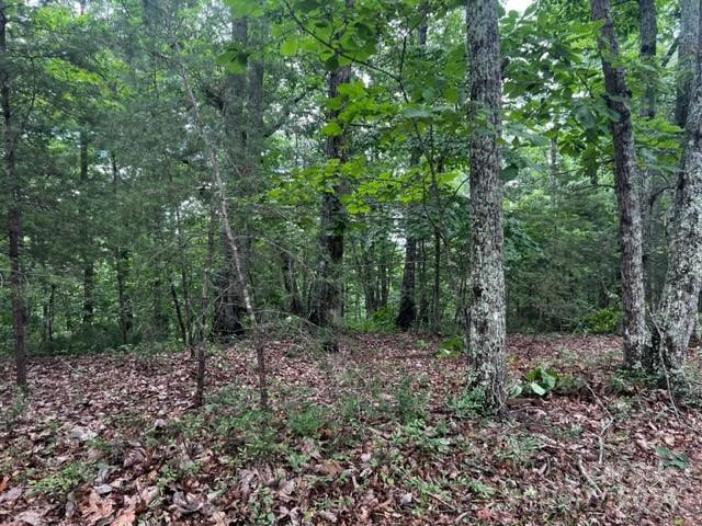 46 Park Lane - Photo 3