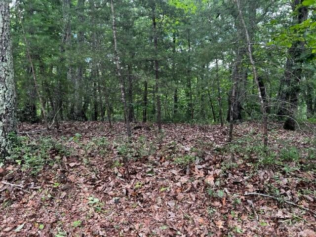 46 Park Lane - Photo 4