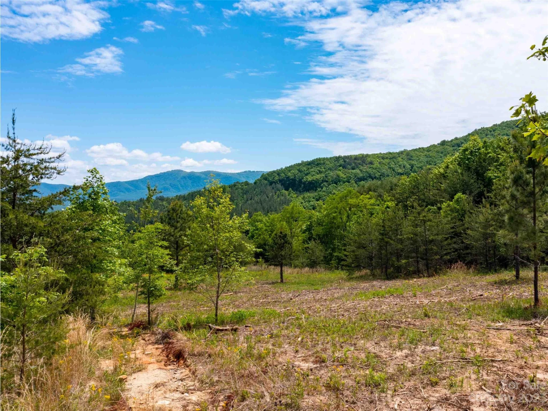 LOT 185 Harris Court - Photo 5