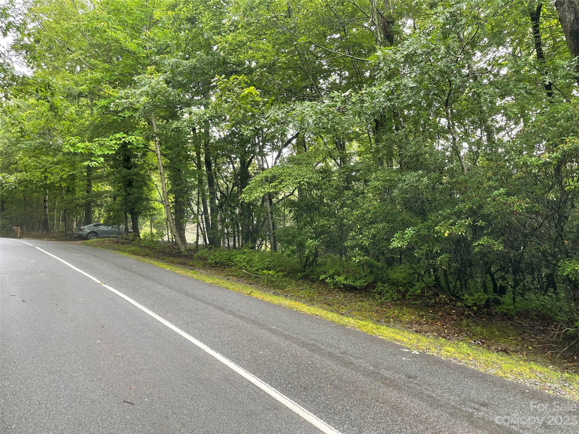 TBD Tellico Trail #116/01 - Photo 2