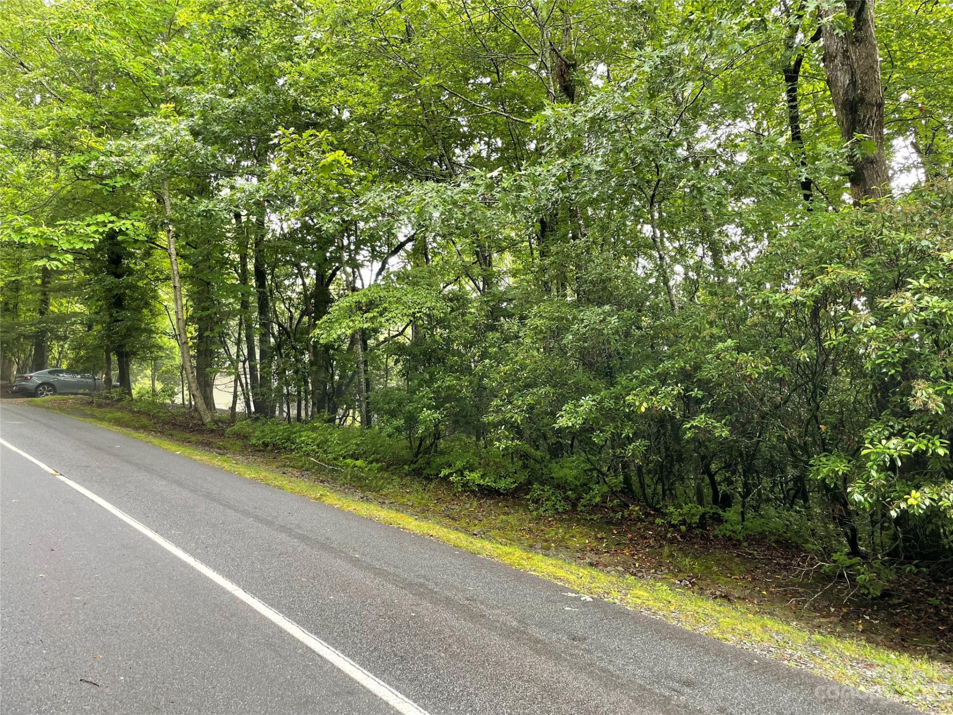 TBD Tellico Trail #116/01 - Photo 3