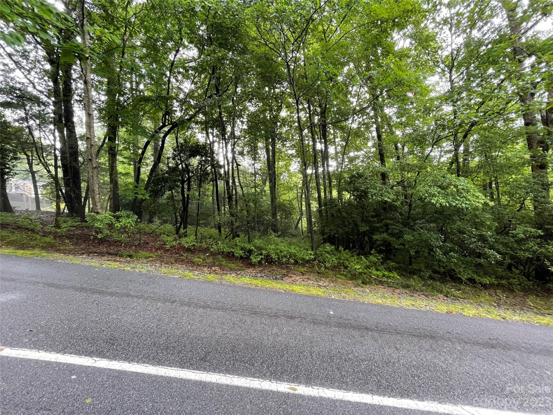 TBD Tellico Trail #116/01 - Photo 4