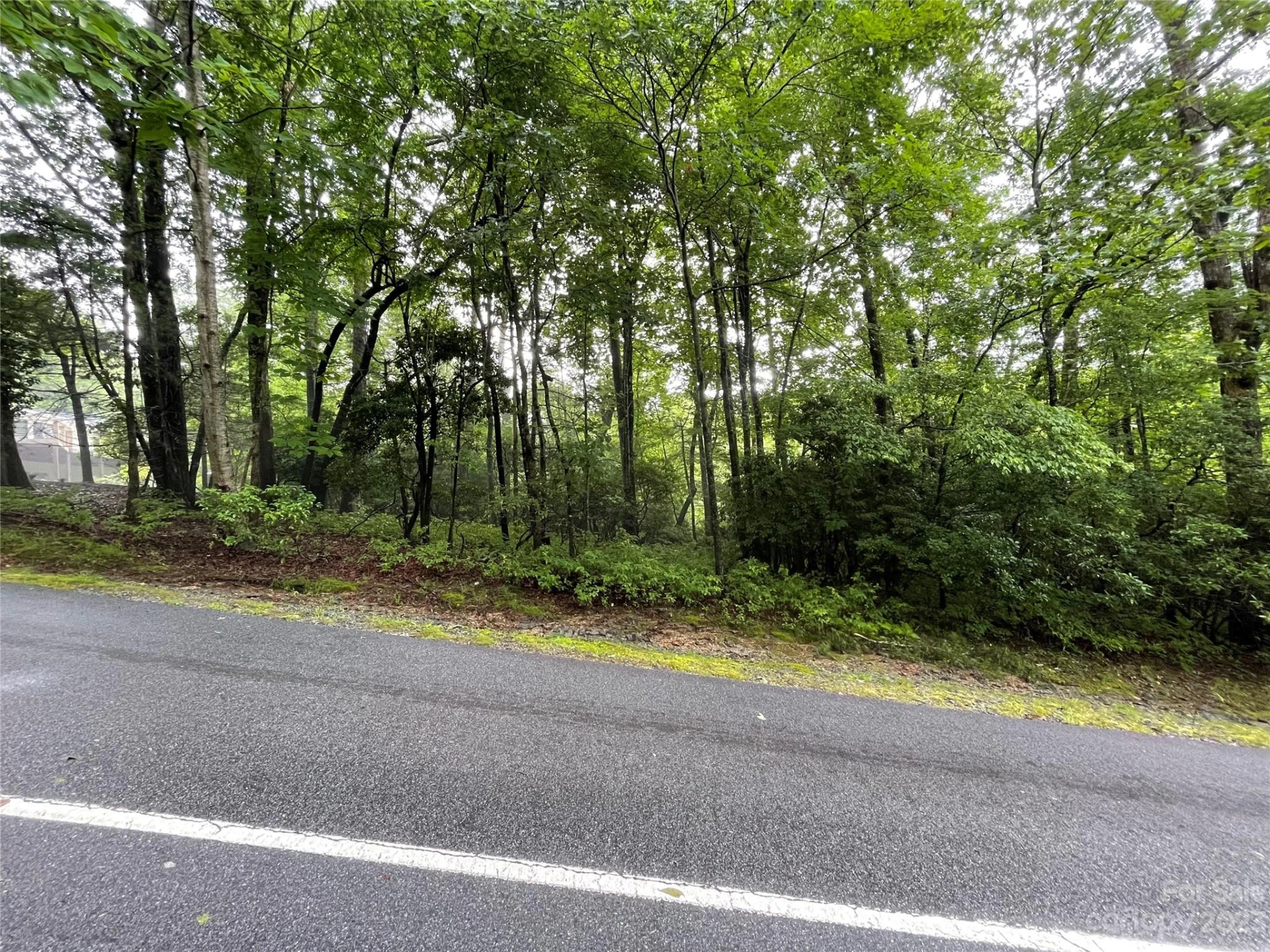 TBD Tellico Trail #116/01 - Photo 4