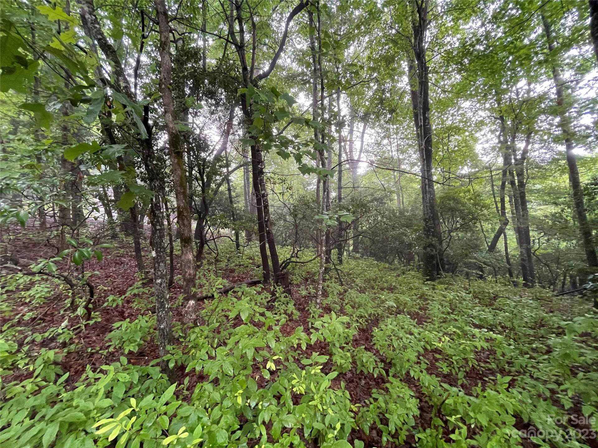 TBD Tellico Trail #116/01 - Photo 6