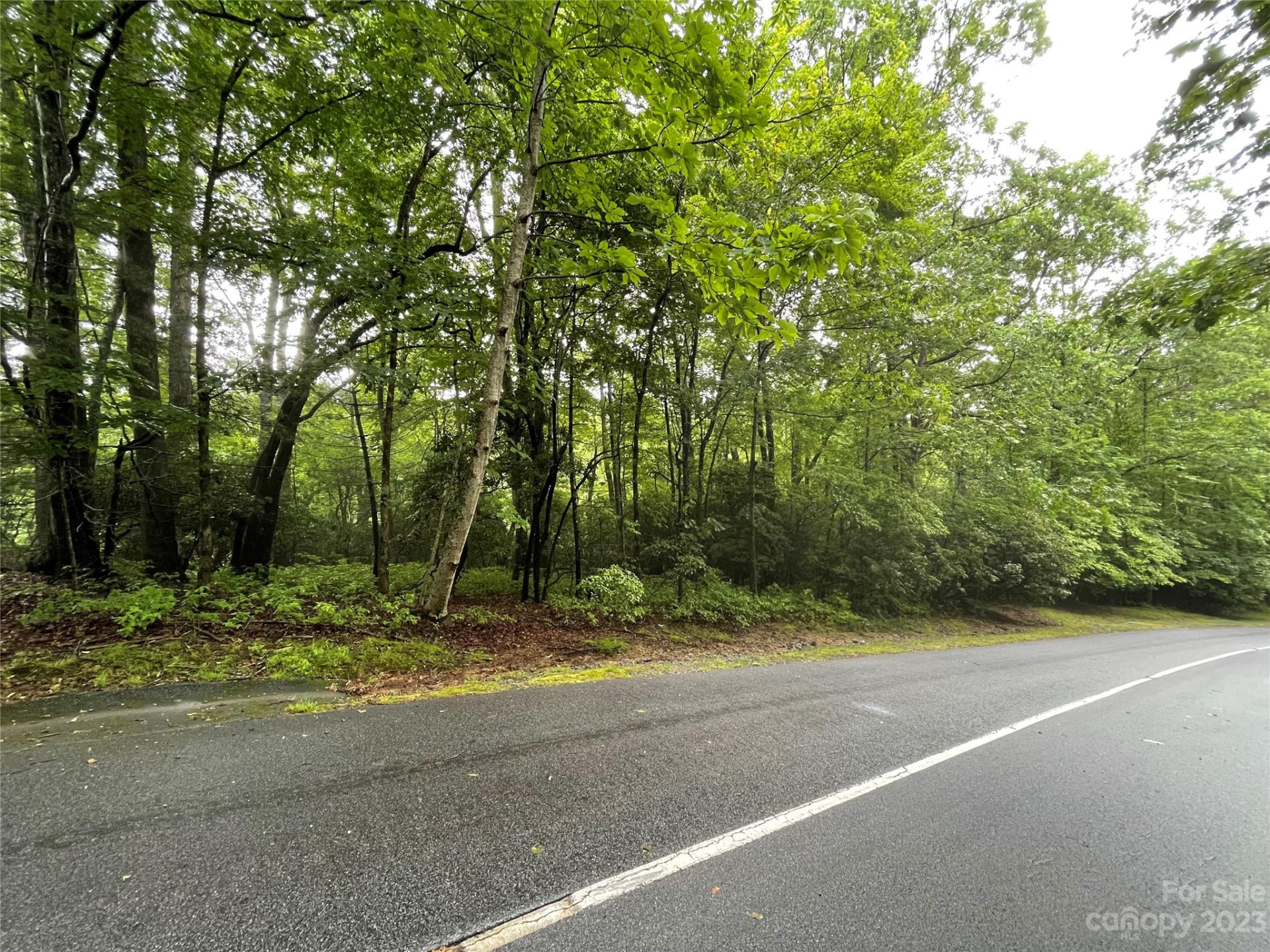 TBD Tellico Trail #116/01 - Photo 8