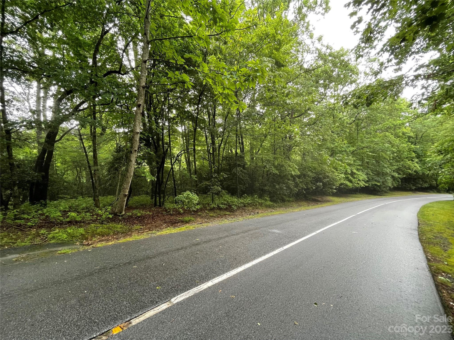 TBD Tellico Trail #116/01 - Photo 9