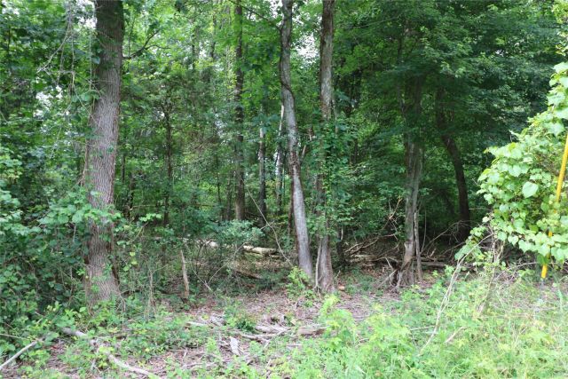 Lot 19 Commercial Drive, Forest City, NC, 28043