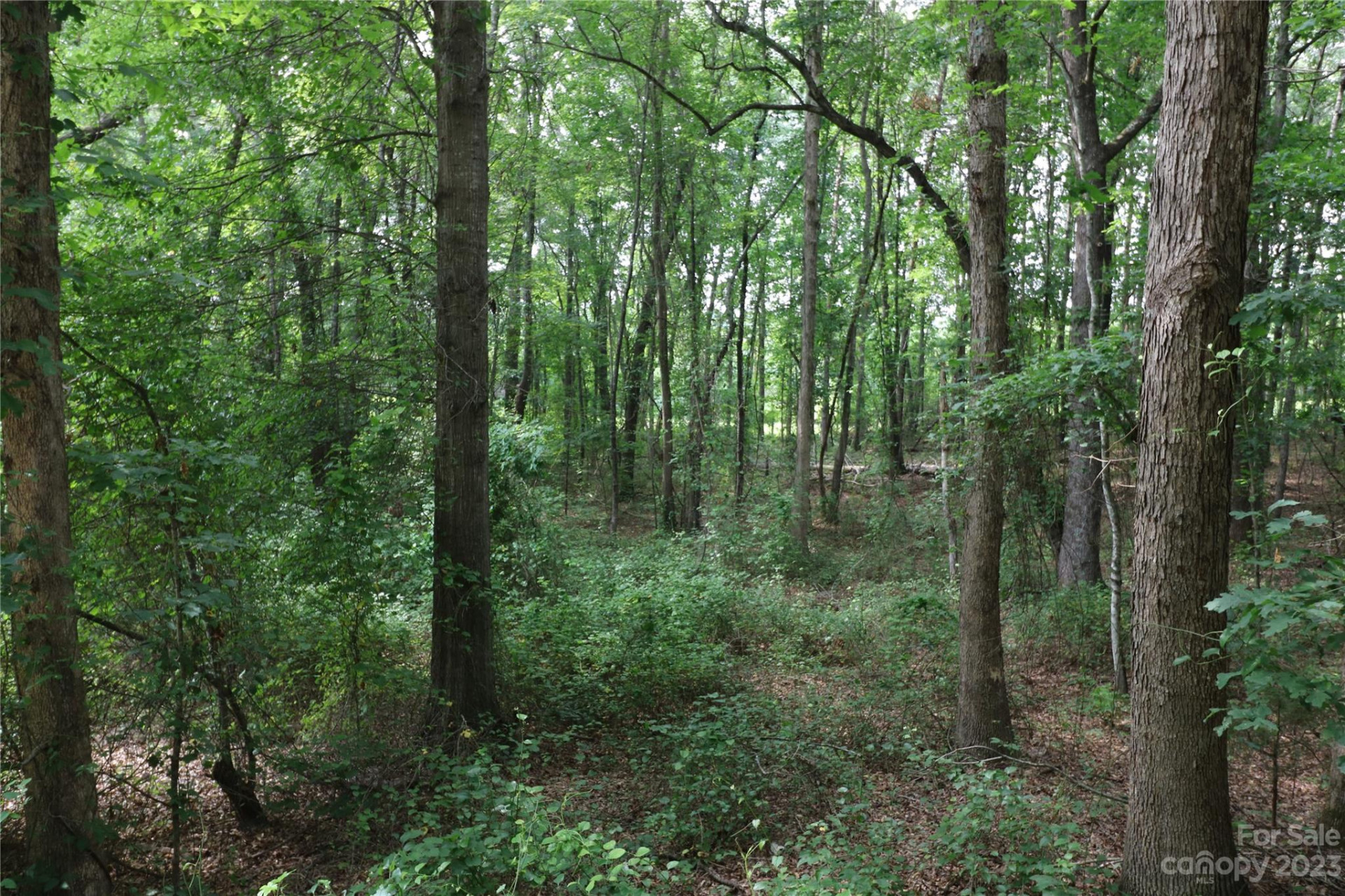 Lot 20 Commercial Drive - Photo 2