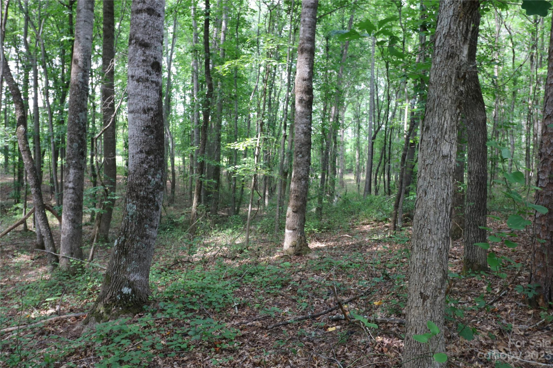 Lot 21 Commercial Drive - Photo 2