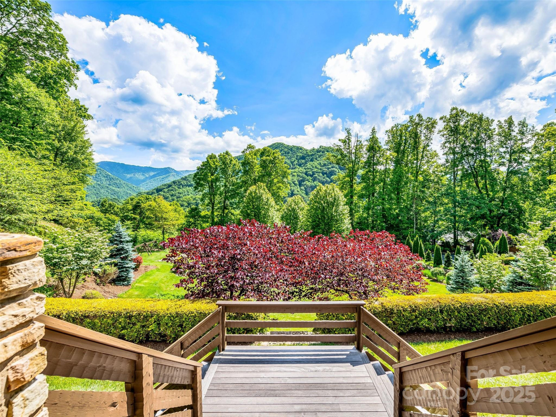 202 Emerald Lane - Photo 12