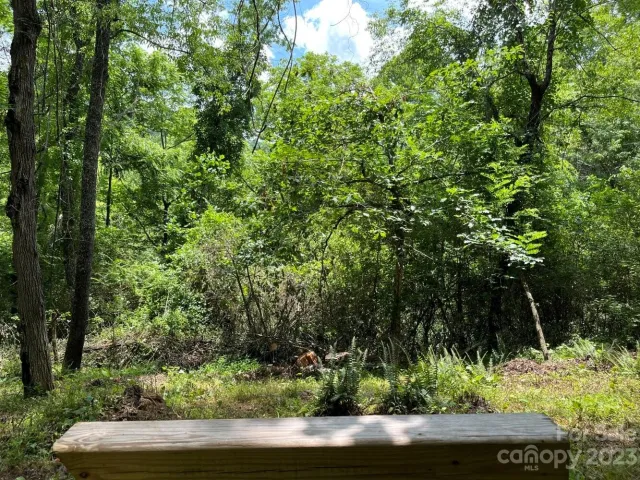 9999 Davis Cove Road, Leicester, NC, 28748