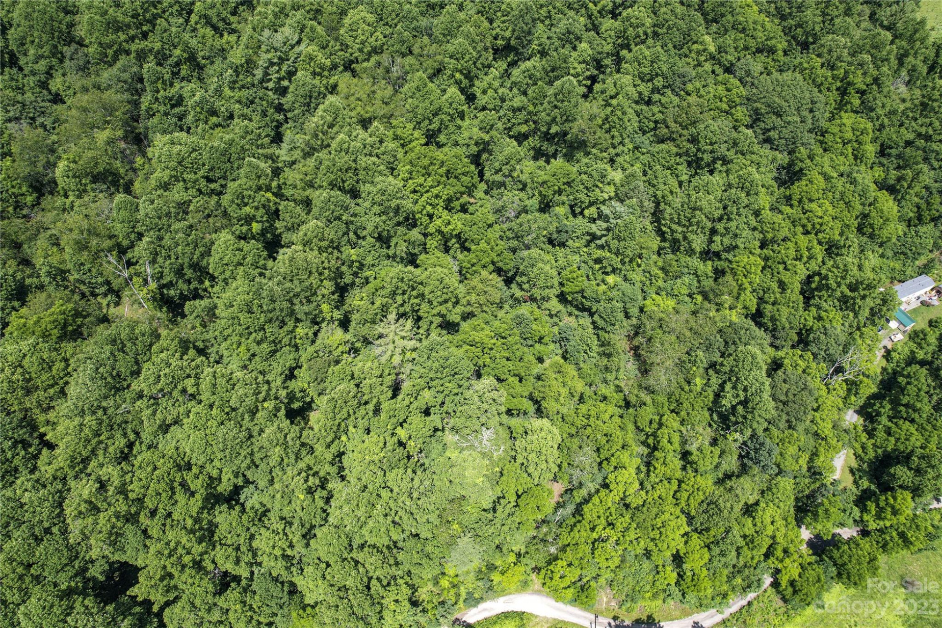 9999 Davis Cove Road - Photo 2