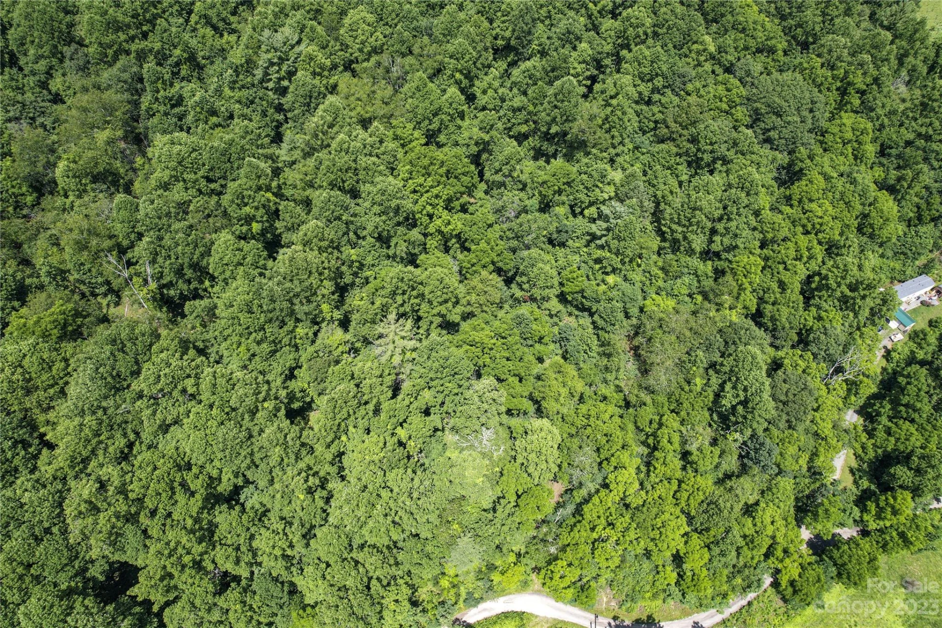 9999 Davis Cove Road - Photo 2