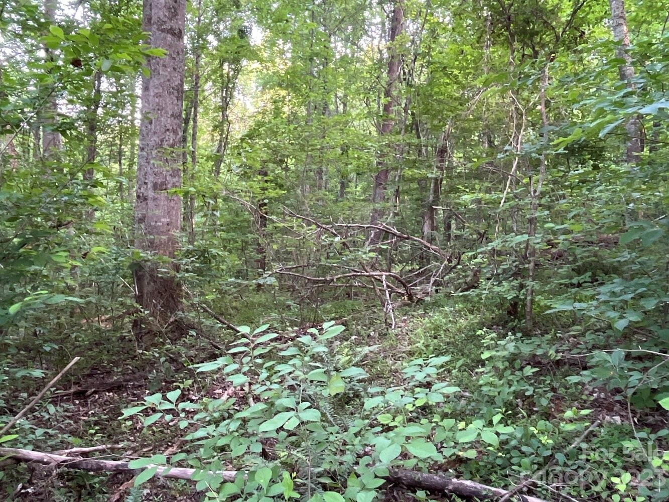 9999 Davis Cove Road - Photo 11