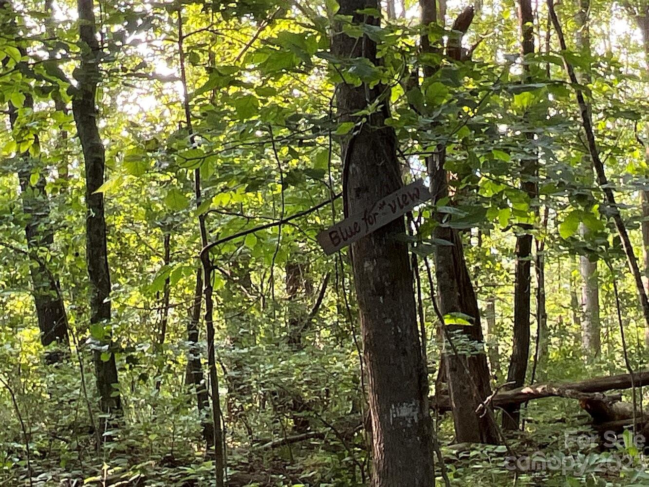 9999 Davis Cove Road - Photo 12