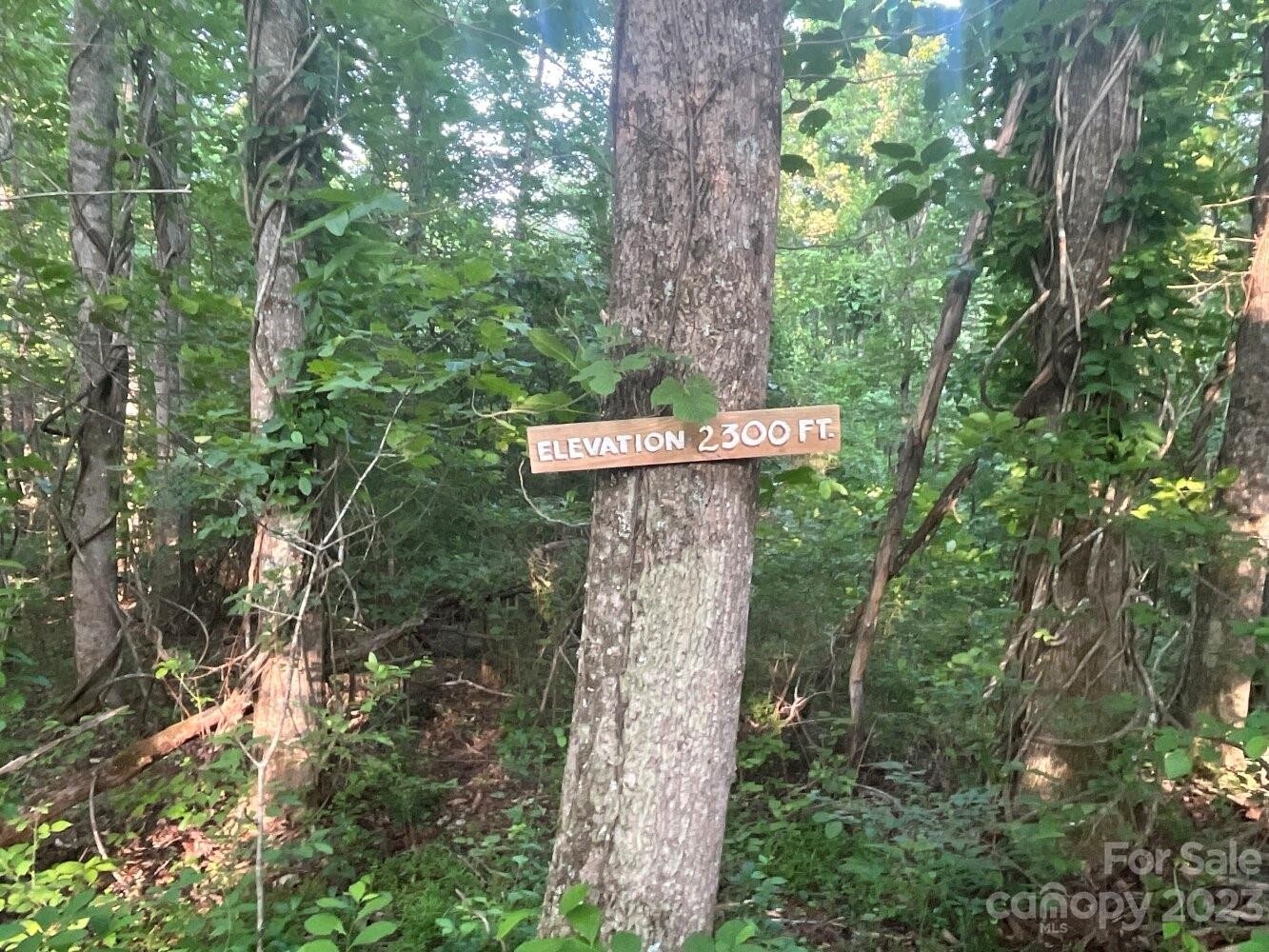 9999 Davis Cove Road - Photo 13