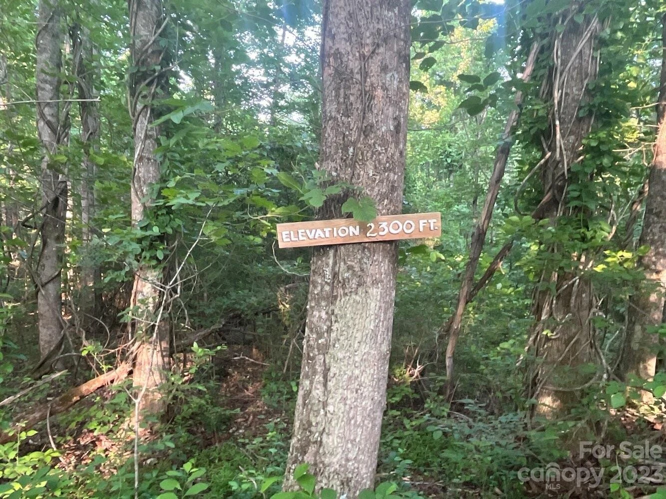 9999 Davis Cove Road - Photo 13