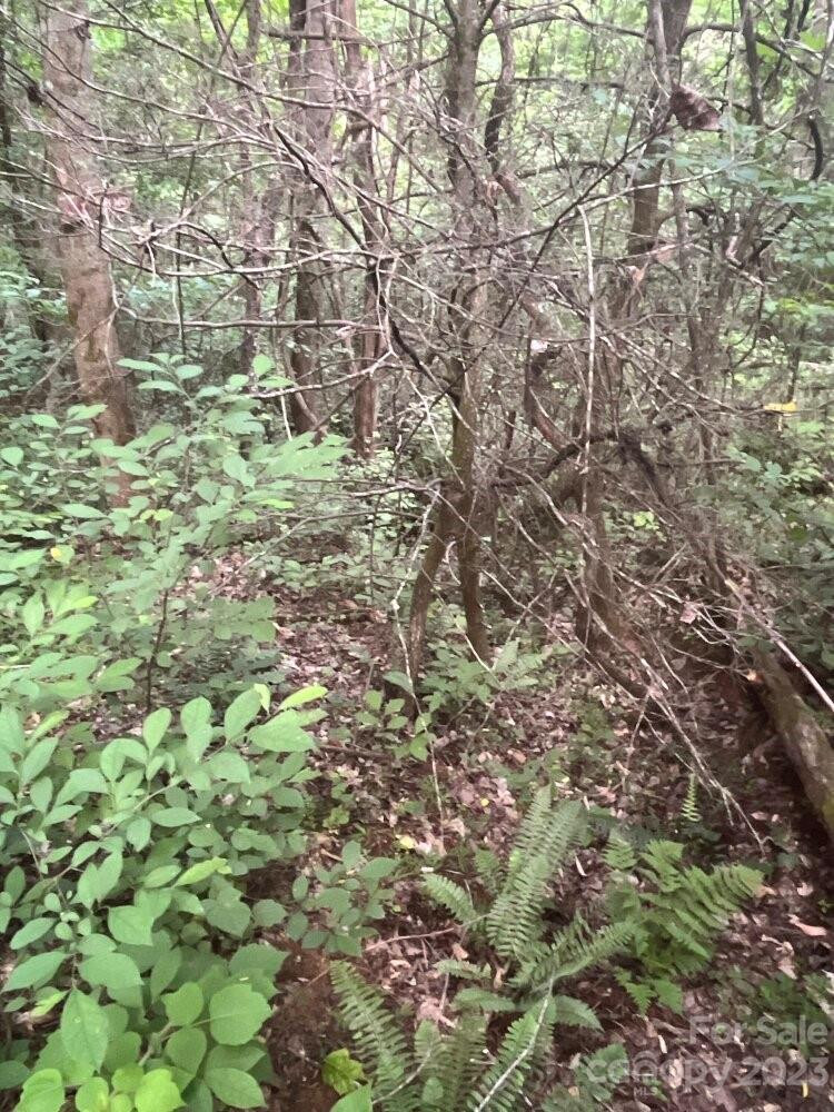 9999 Davis Cove Road - Photo 14