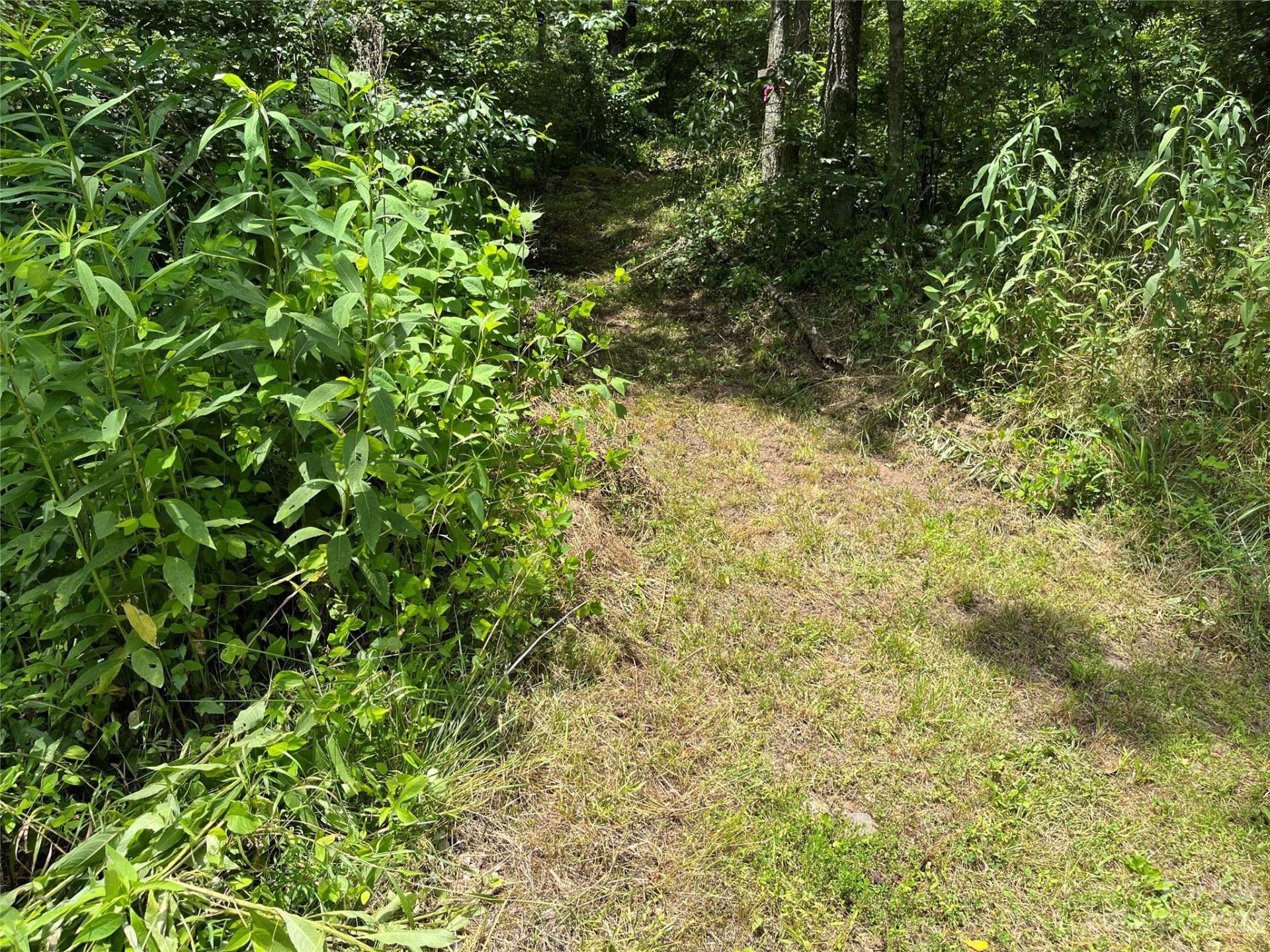 9999 Davis Cove Road - Photo 3