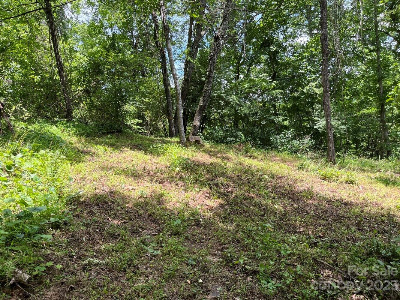 9999 Davis Cove Road - Photo 4