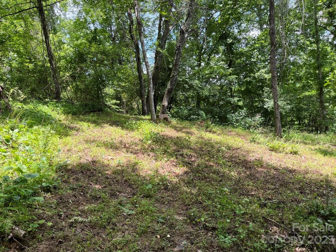 9999 Davis Cove Road - Photo 4