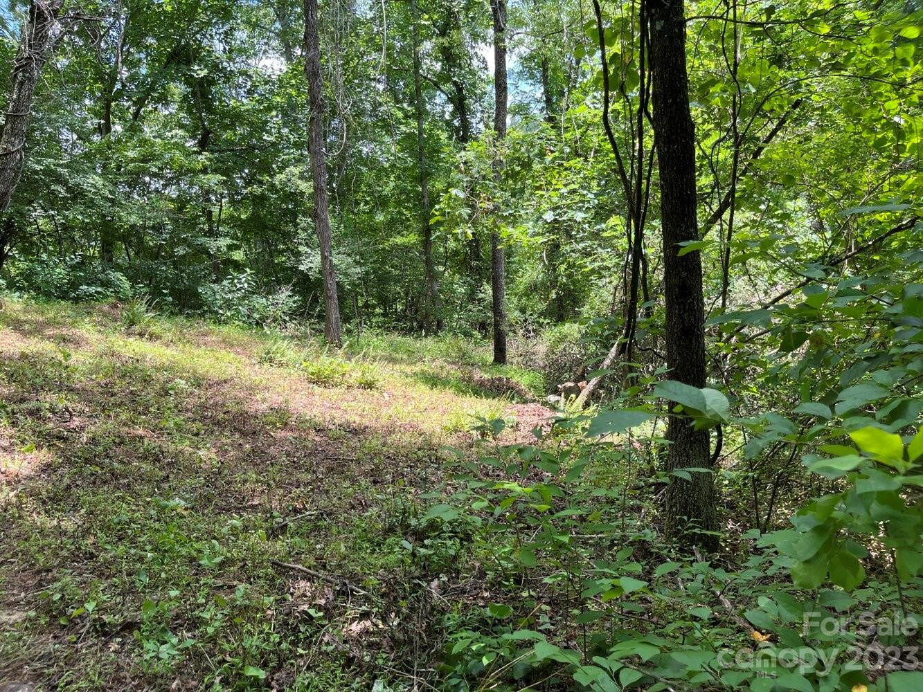 9999 Davis Cove Road - Photo 5