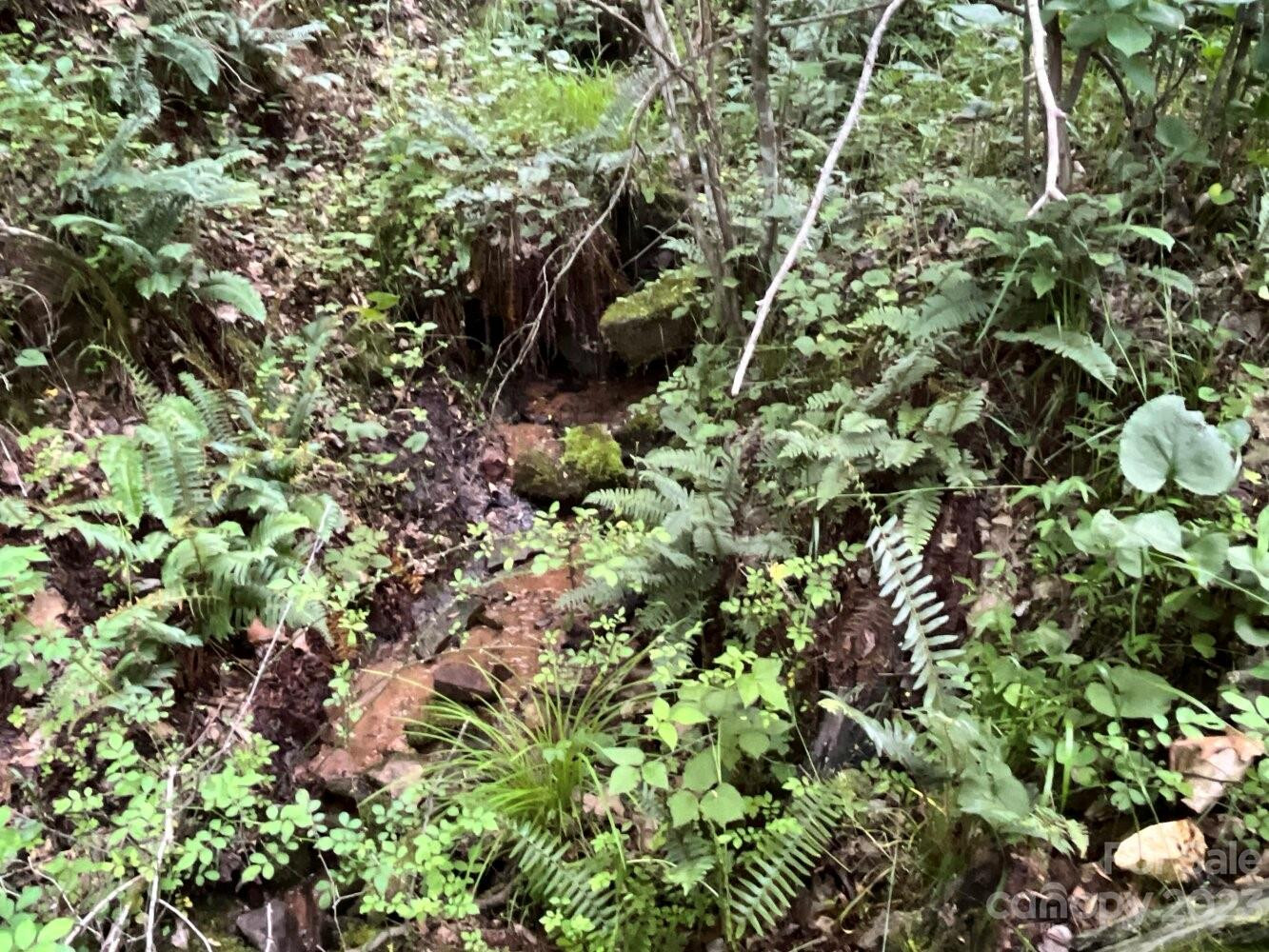 9999 Davis Cove Road - Photo 7