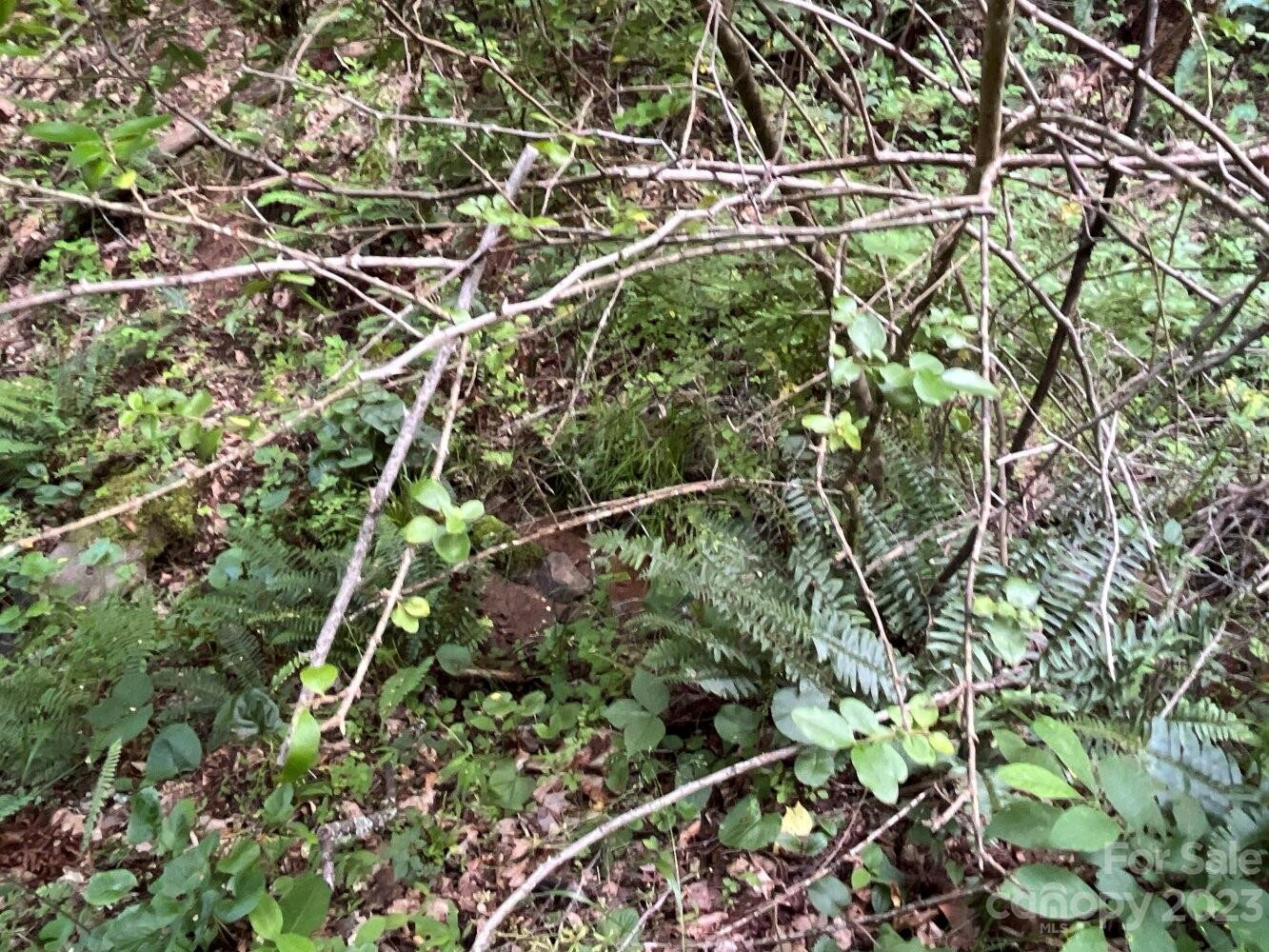 9999 Davis Cove Road - Photo 8