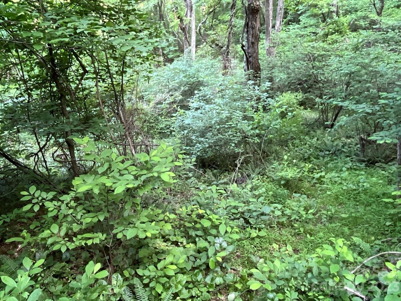 9999 Davis Cove Road - Photo 9