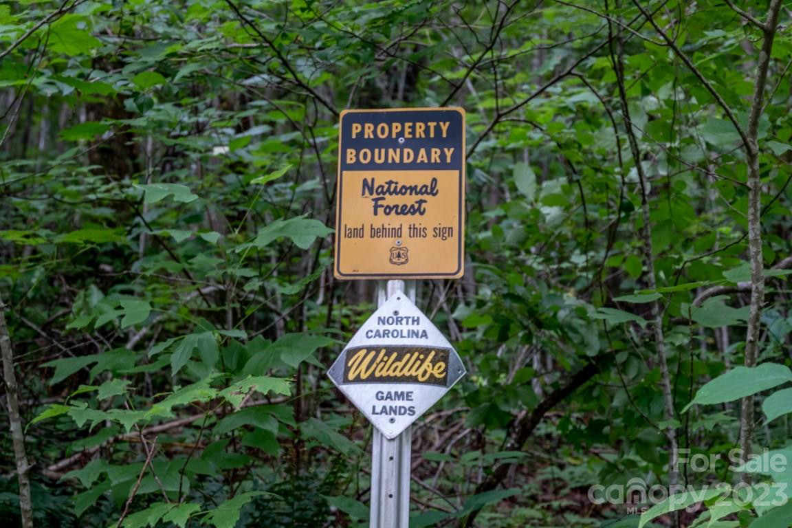 427 Quarry Road #22 - Photo 12