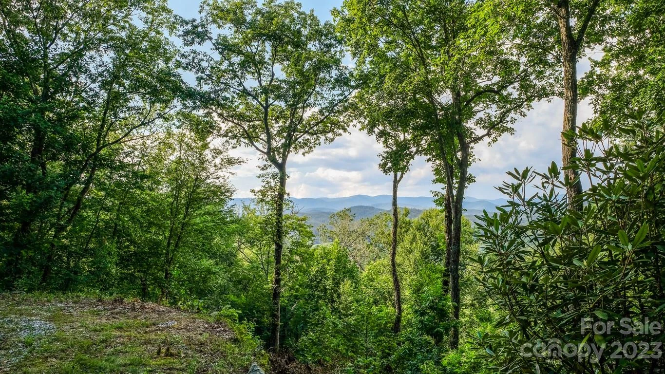427 Quarry Road #22 - Photo 4
